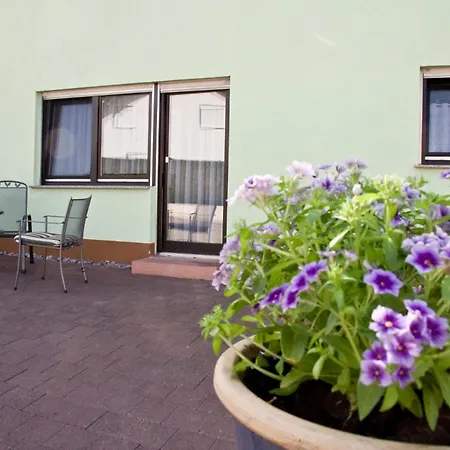 Ferienwohnung Karolus Sinsheim Buitenkant foto